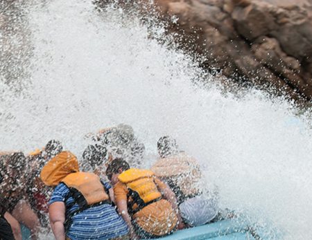 whitewater on one day rafting trip