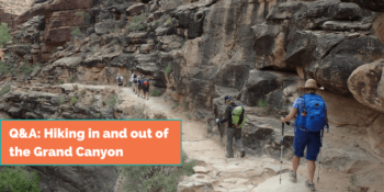 hikers on the bright angel trail in Grand Canyon