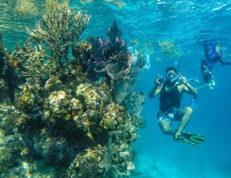 snorkling-lighthouse-reef-belize