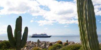 baja-small-ship-cruise with cacti