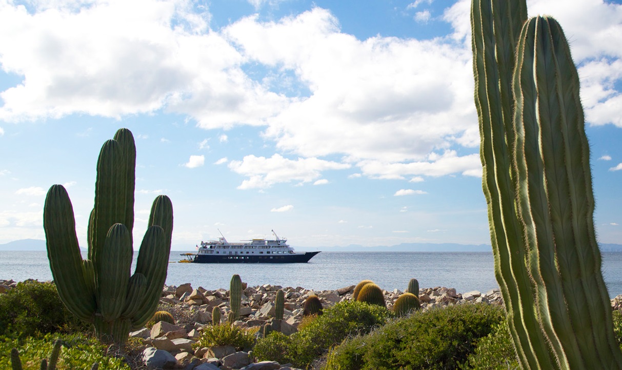Small Ship Baja Cruise La Paz Mexico Rivers Oceans