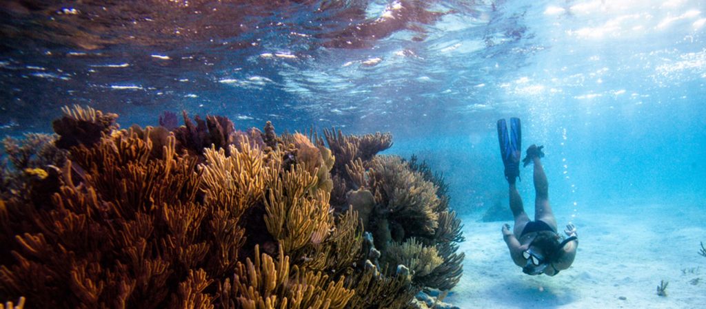 reef friendly sunscreen