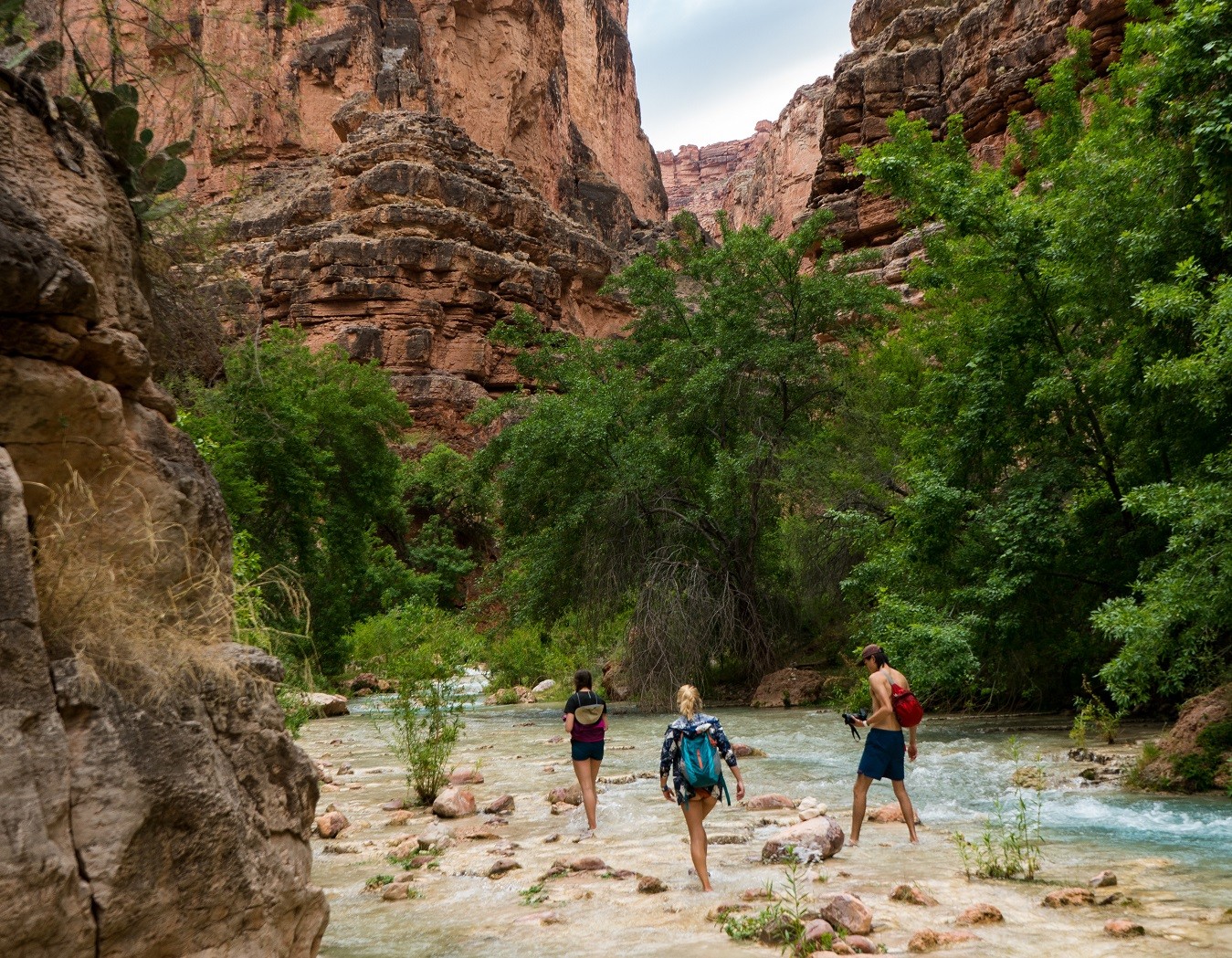 Epic Day Ranch And Grand Canyon Trip, 42% OFF