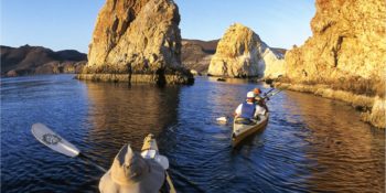 sea kayakers paddling in baja's sea of cortez