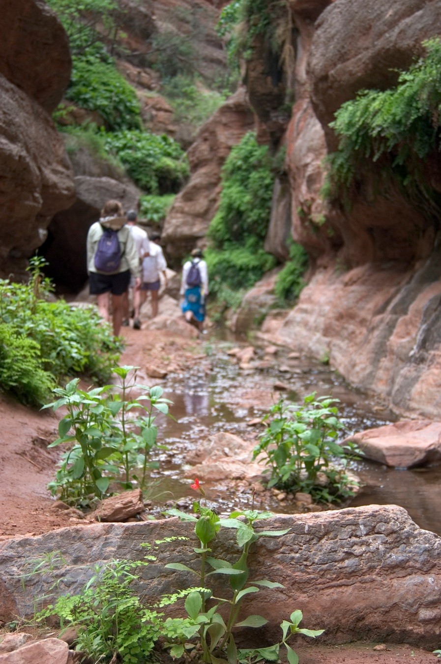 Best Grand Canyon Rafting Trips 2025 2025 Rivers & Oceans