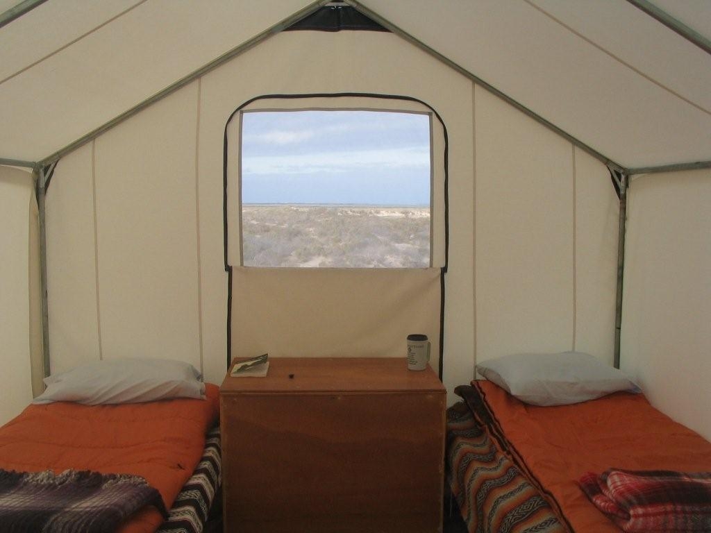 Wall tent with cots