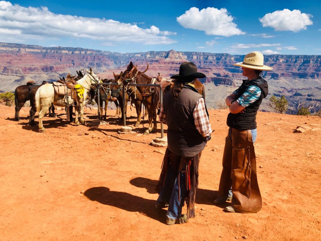 mules and cowboy overlooking Grand Canyon