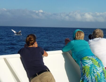watching whale from small ship cruise