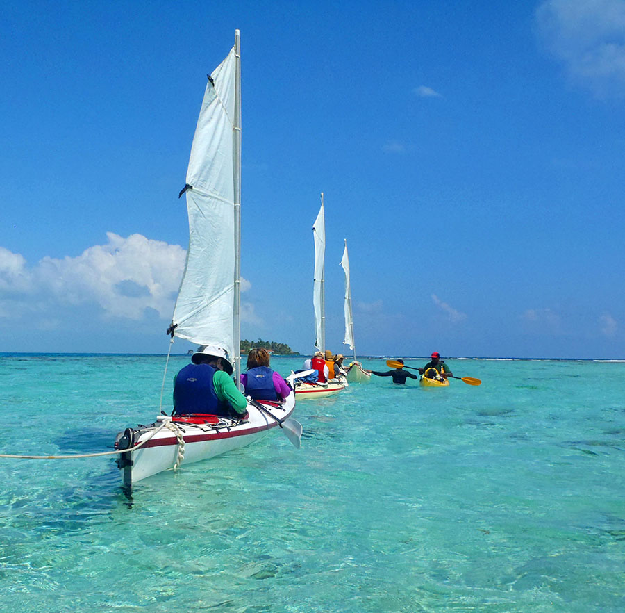 sea kayaks with sails in ocean