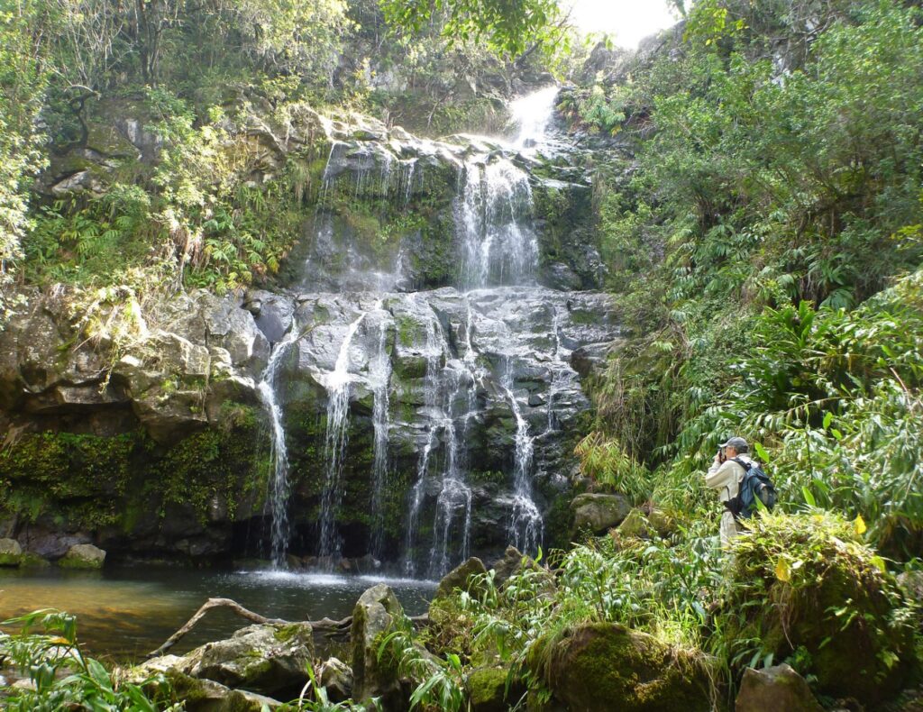 man taking photo of waterfall on Hawaii cruise