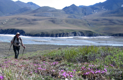 hiker on arctic tundra with rafting river and wild flowers and snow pockets in the background