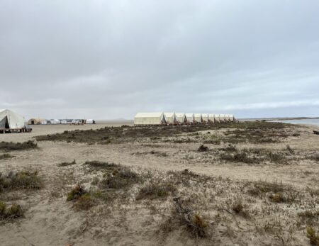 row of luxury tents on beach in San Ignacio Lagoon