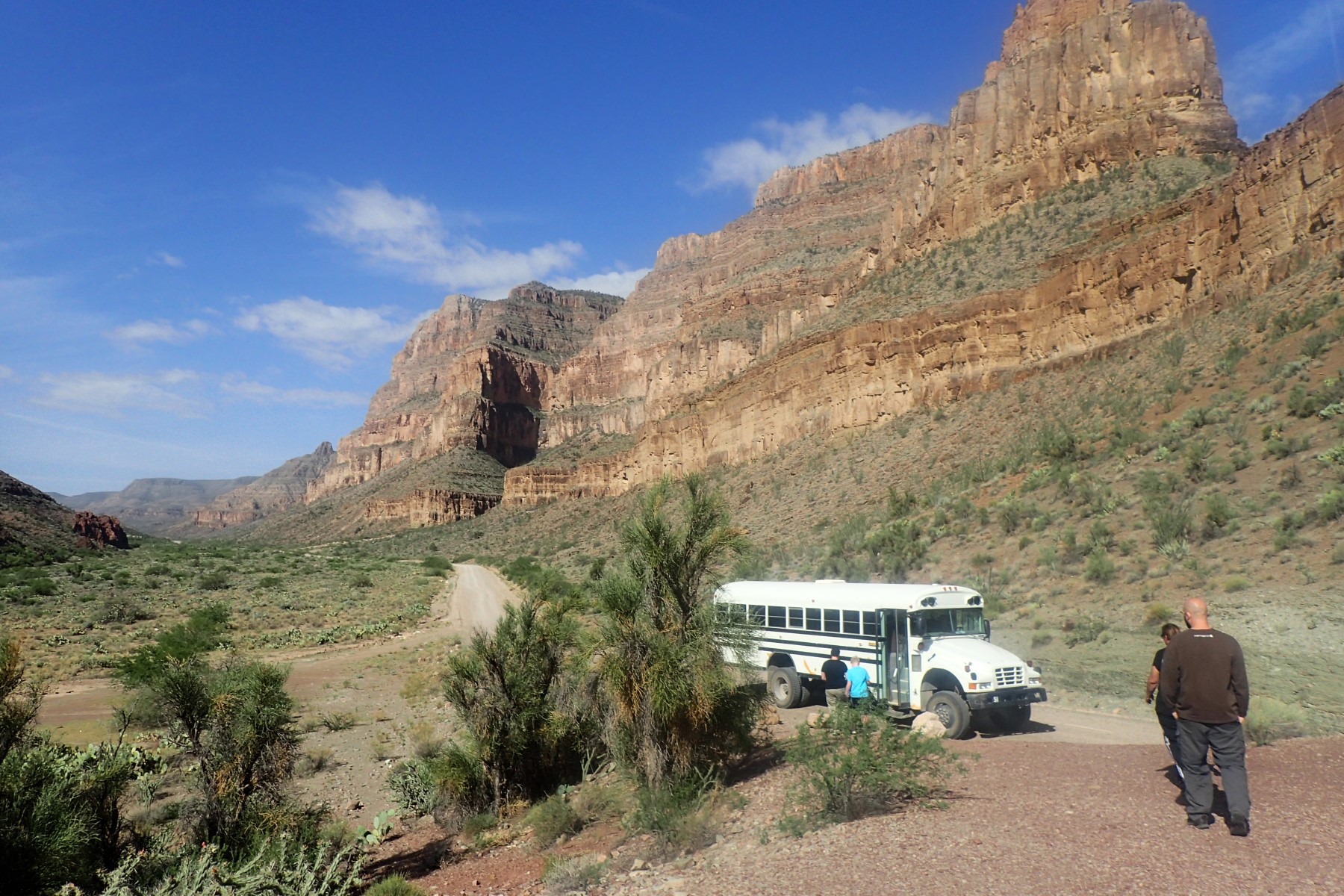 Bus stopped on Diamond Creek Road