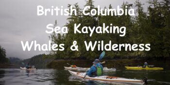 sea kayakers paddling in Johnston Strait of British Columbia