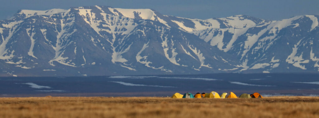 tents in field below Brooks Range Mountains