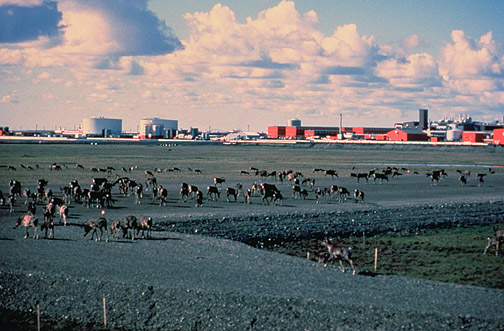 Alaska Oil facilities on the Arctic Ocean